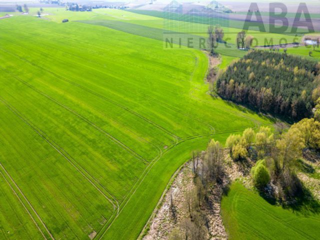 Działka rolna Turostówko. Zdjęcie 4
