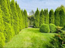 Działka rod Szałe. Zdjęcie 4