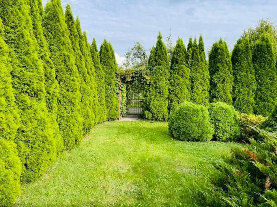 Działka rod Szałe. Zdjęcie 5