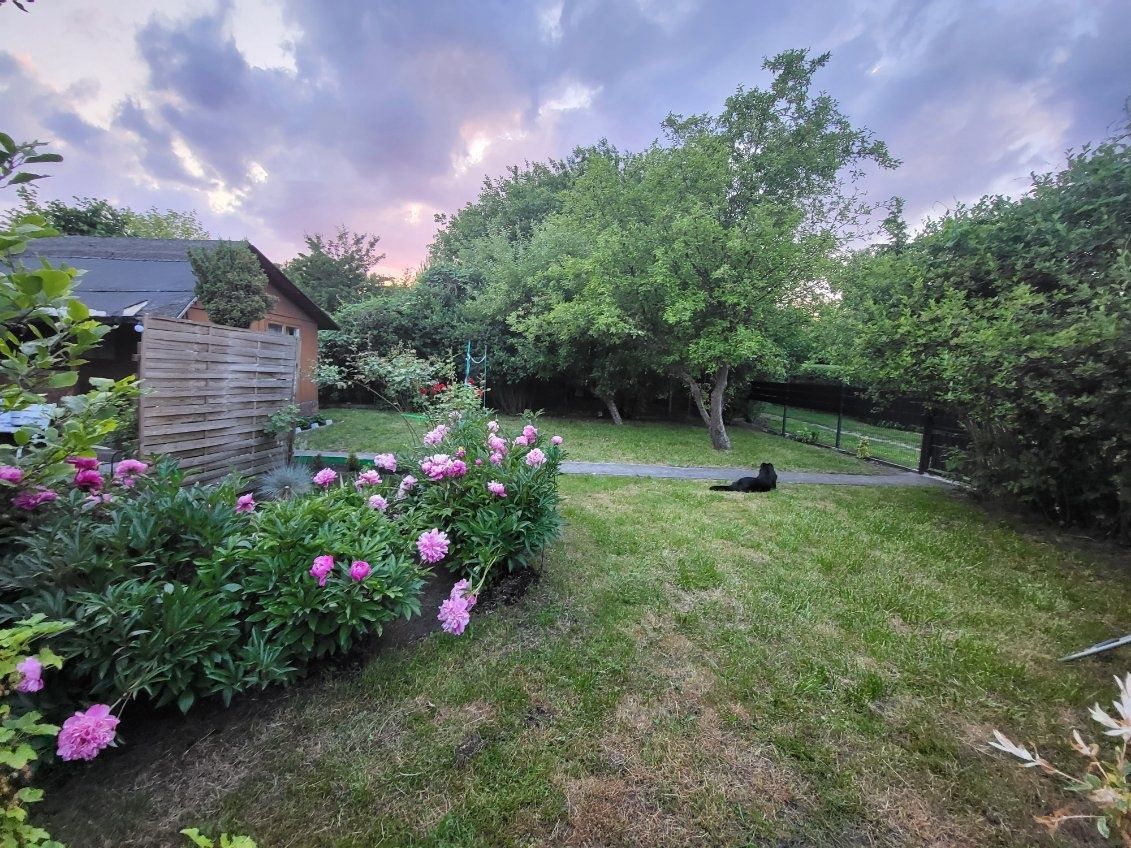 Działka rod Zagościniec. Zdjęcie 7