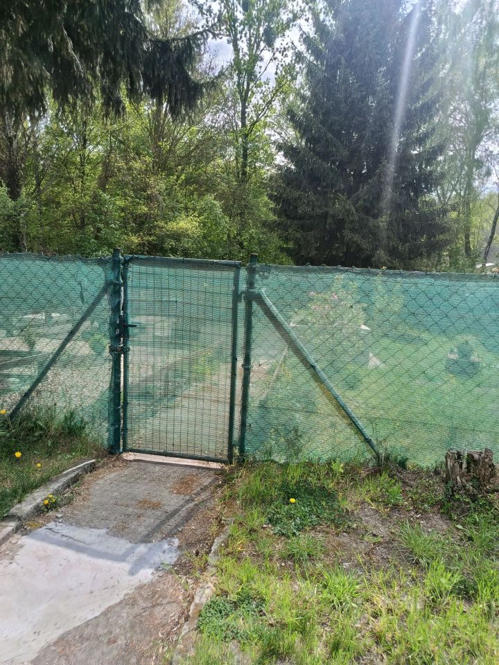 Działka rod Ruda Śląska, ul. Wincentego. Zdjęcie 2