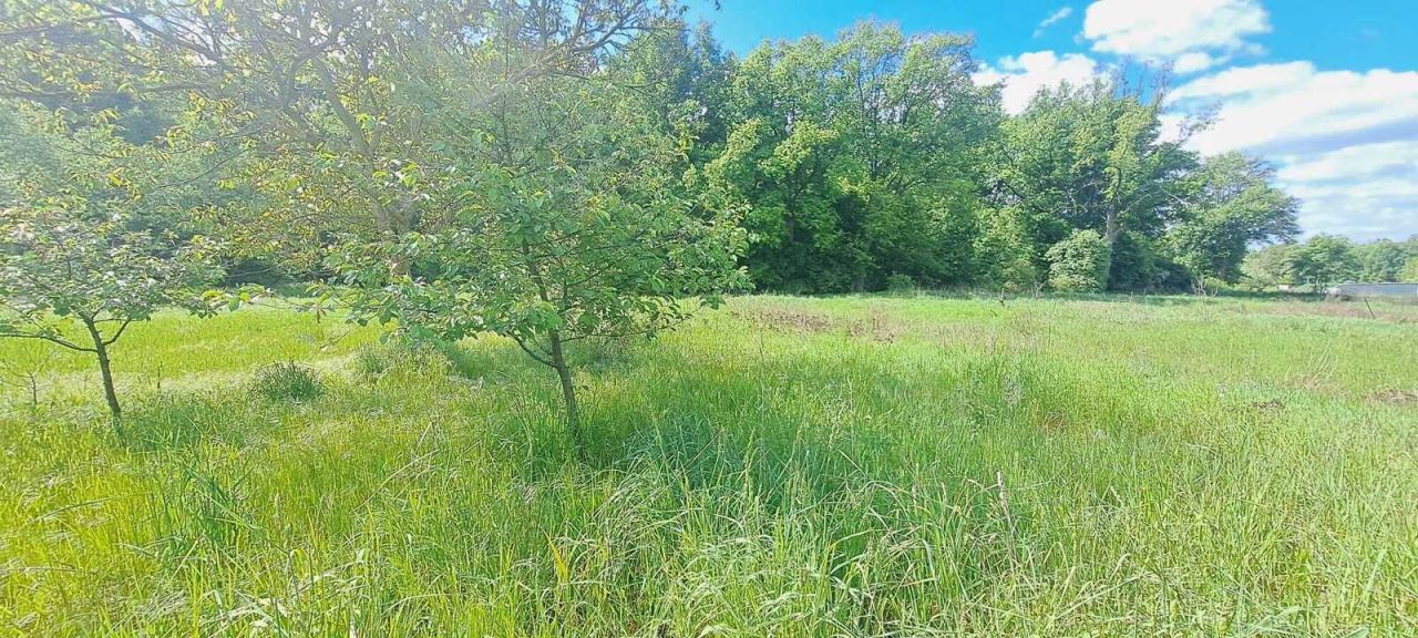 bliźniak, 3 pokoje Dobrzęcin. Zdjęcie 8