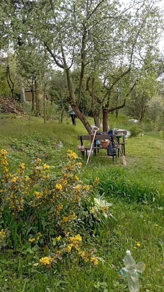 Działka rod Dąbrowica. Zdjęcie 2