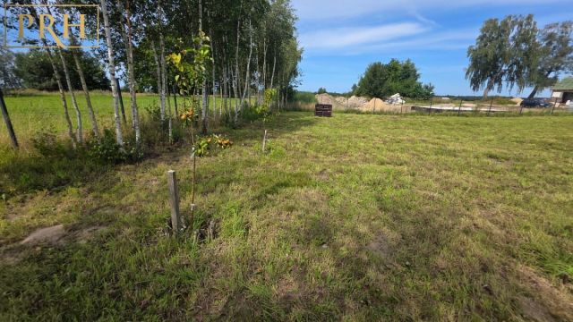 Działka budowlana Stare Bielice, ul. Platanowa. Zdjęcie 12