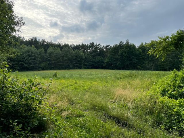 Działka budowlana Błędowo. Zdjęcie 1