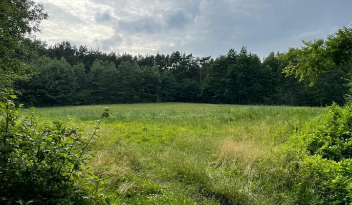 Działka budowlana Błędowo