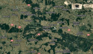 Mieszkanie 3-pokojowe Działoszyn