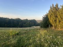 Działka budowlana Hyżne Moszczanki. Zdjęcie 1
