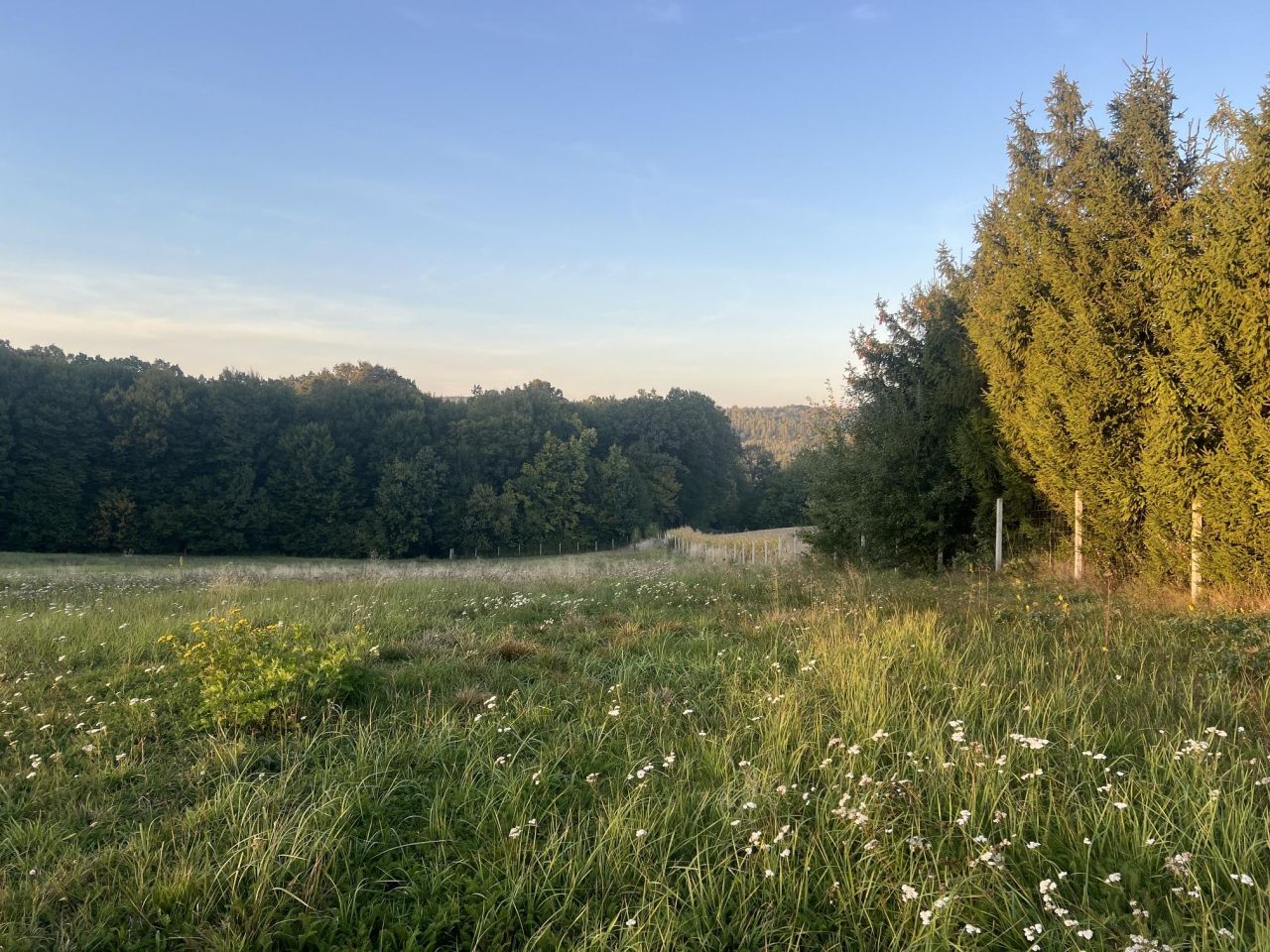 Działka budowlana Hyżne Moszczanki. Zdjęcie 2