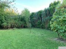 Działka rod Racibórz, ul. Opawska. Zdjęcie 1