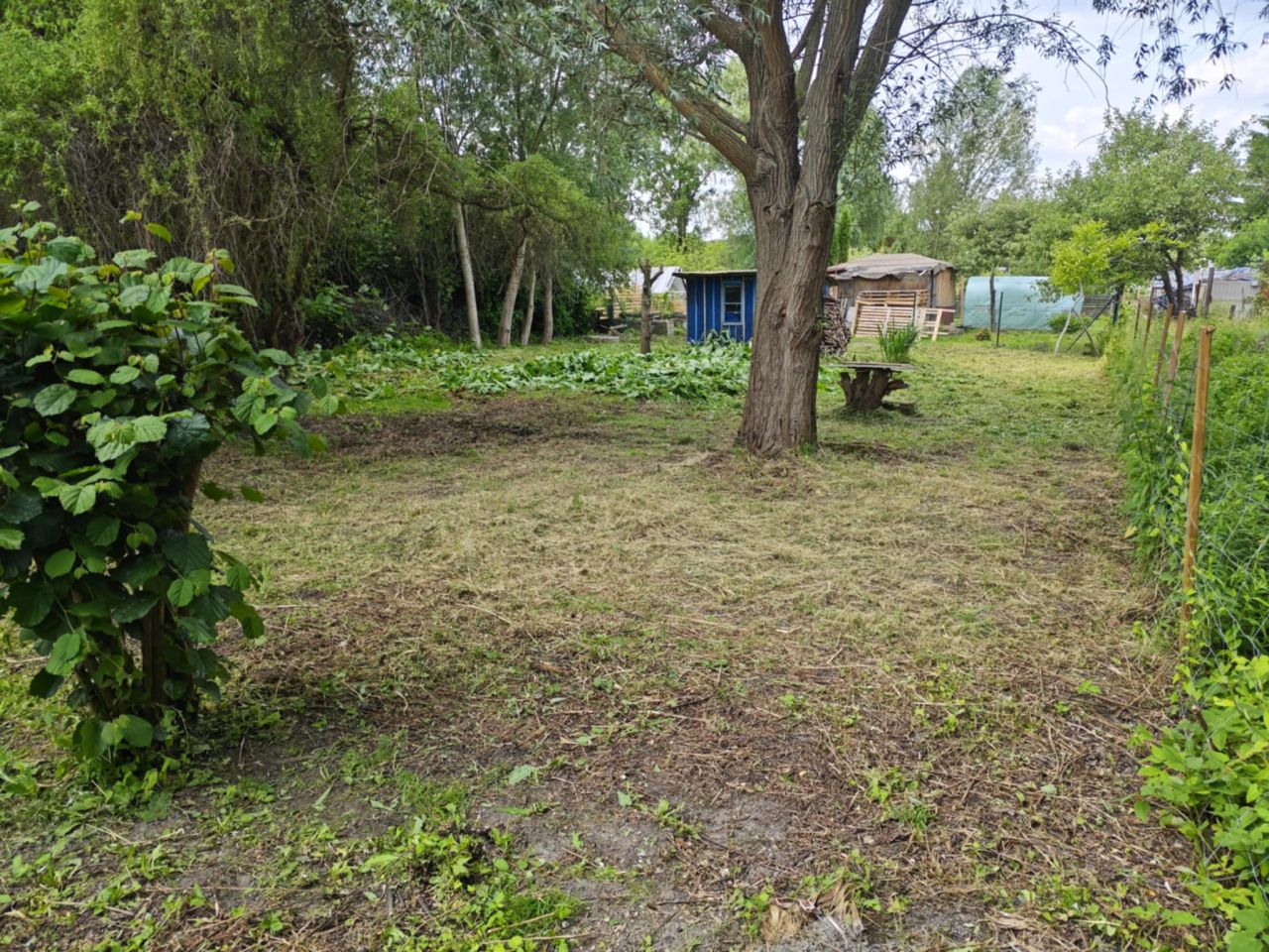 Działka rod Lublin Podzamcze, ul. Podzamcze. Zdjęcie 15