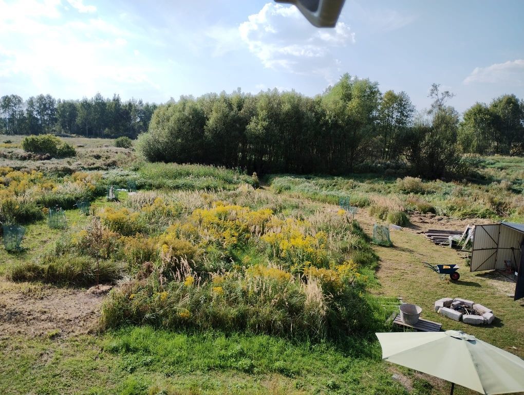 dom wolnostojący Niegowoniczki. Zdjęcie 5