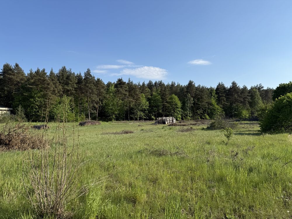 Działka rolna Nicponia. Zdjęcie 8