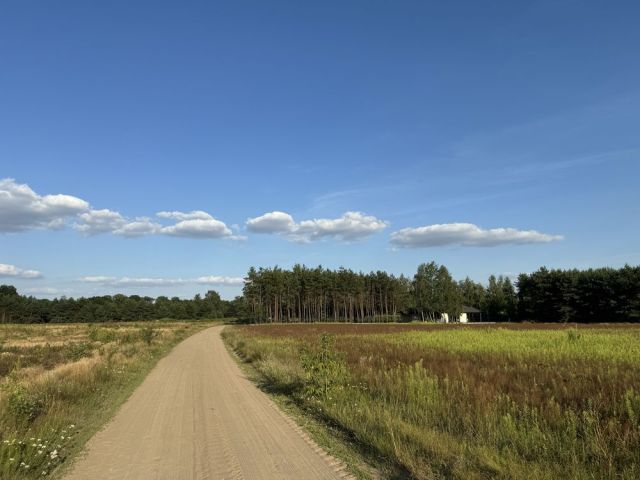 Działka budowlana Kowalewice Włościańskie. Zdjęcie 1