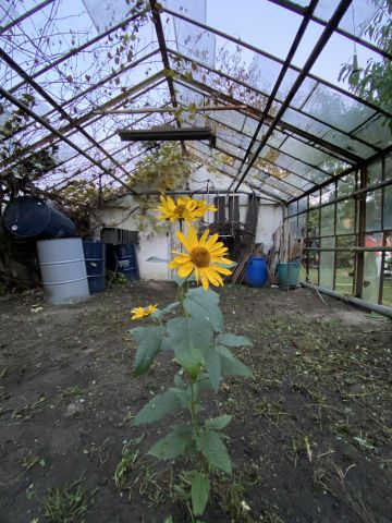 dom szeregowy, 2 pokoje Ozorków Piekło, ul. Jana Kochanowskiego. Zdjęcie 28