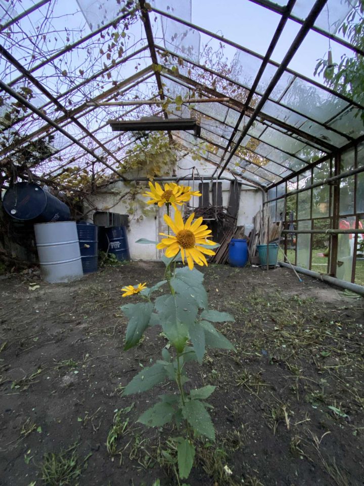 dom szeregowy, 2 pokoje Ozorków Piekło, ul. Jana Kochanowskiego. Zdjęcie 28