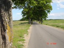 Działka budowlana Objazda. Zdjęcie 2