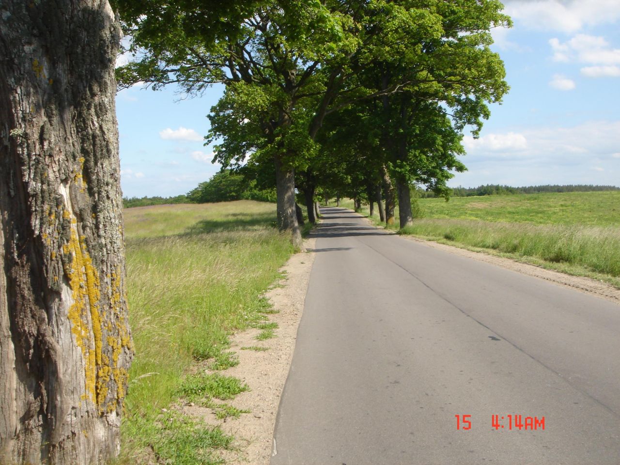 Działka budowlana Objazda. Zdjęcie 3