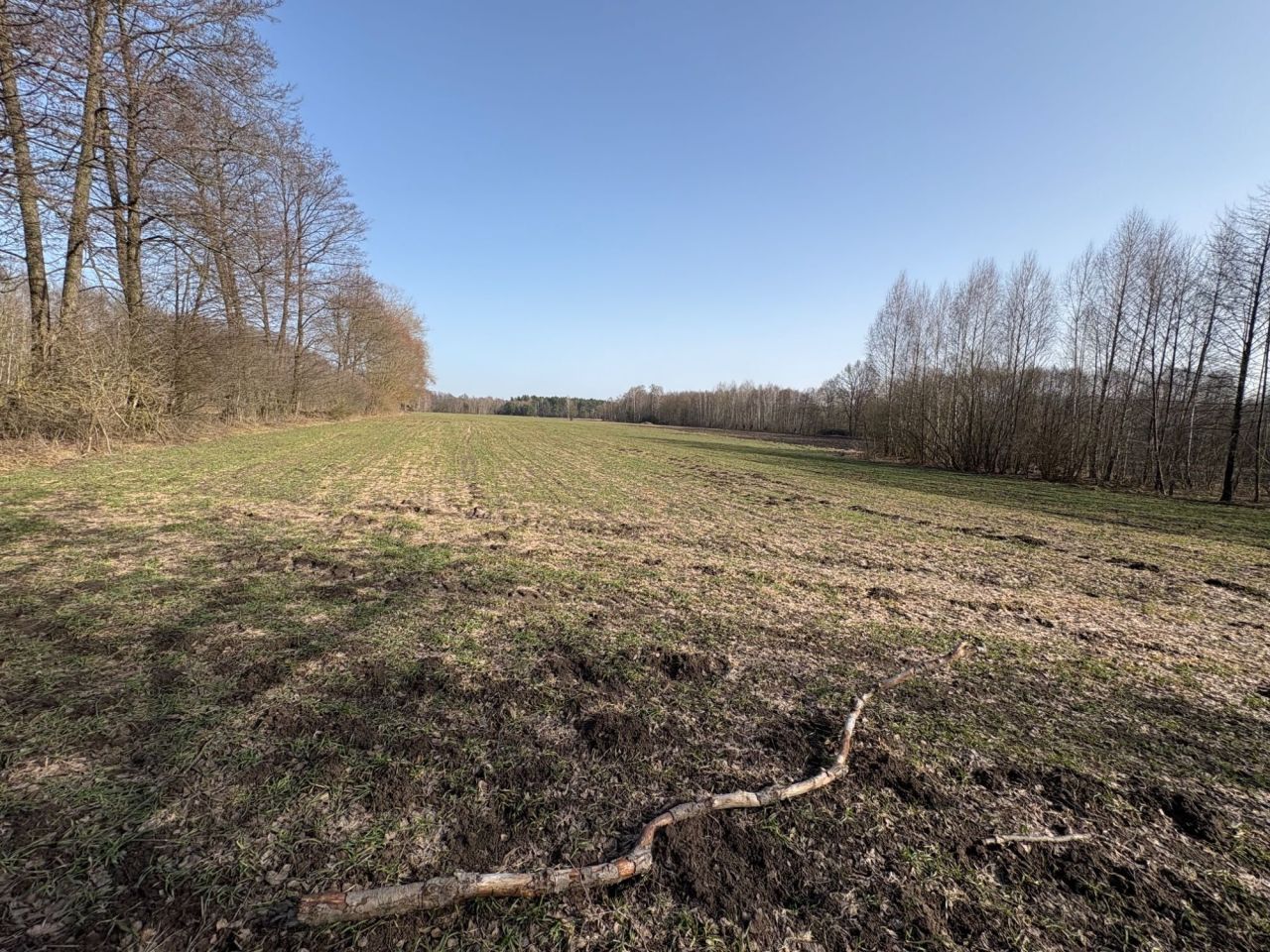 Działka rolna Luberadz. Zdjęcie 1