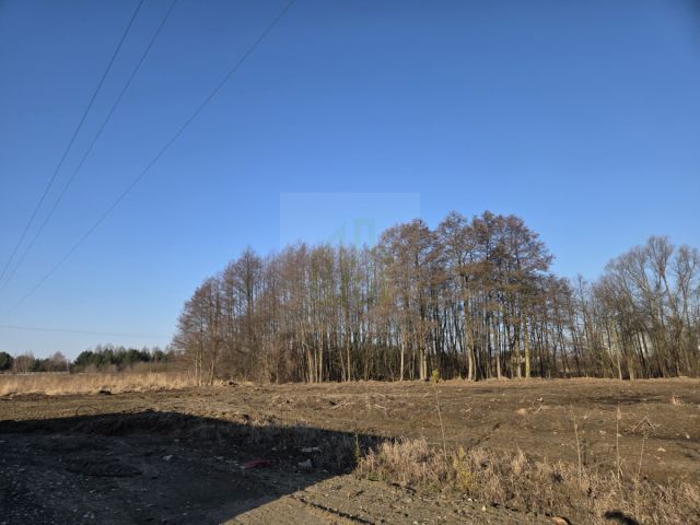 Działka budowlana Zboiska. Zdjęcie 4