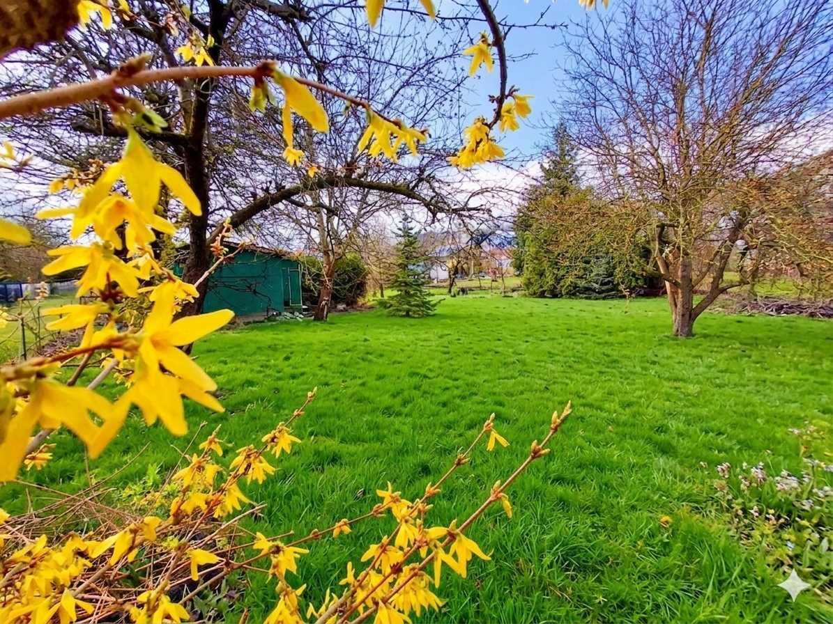 Działka rod Puławy. Zdjęcie 3