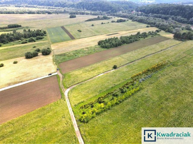 Działka rolna Sanok Olchowce. Zdjęcie 11