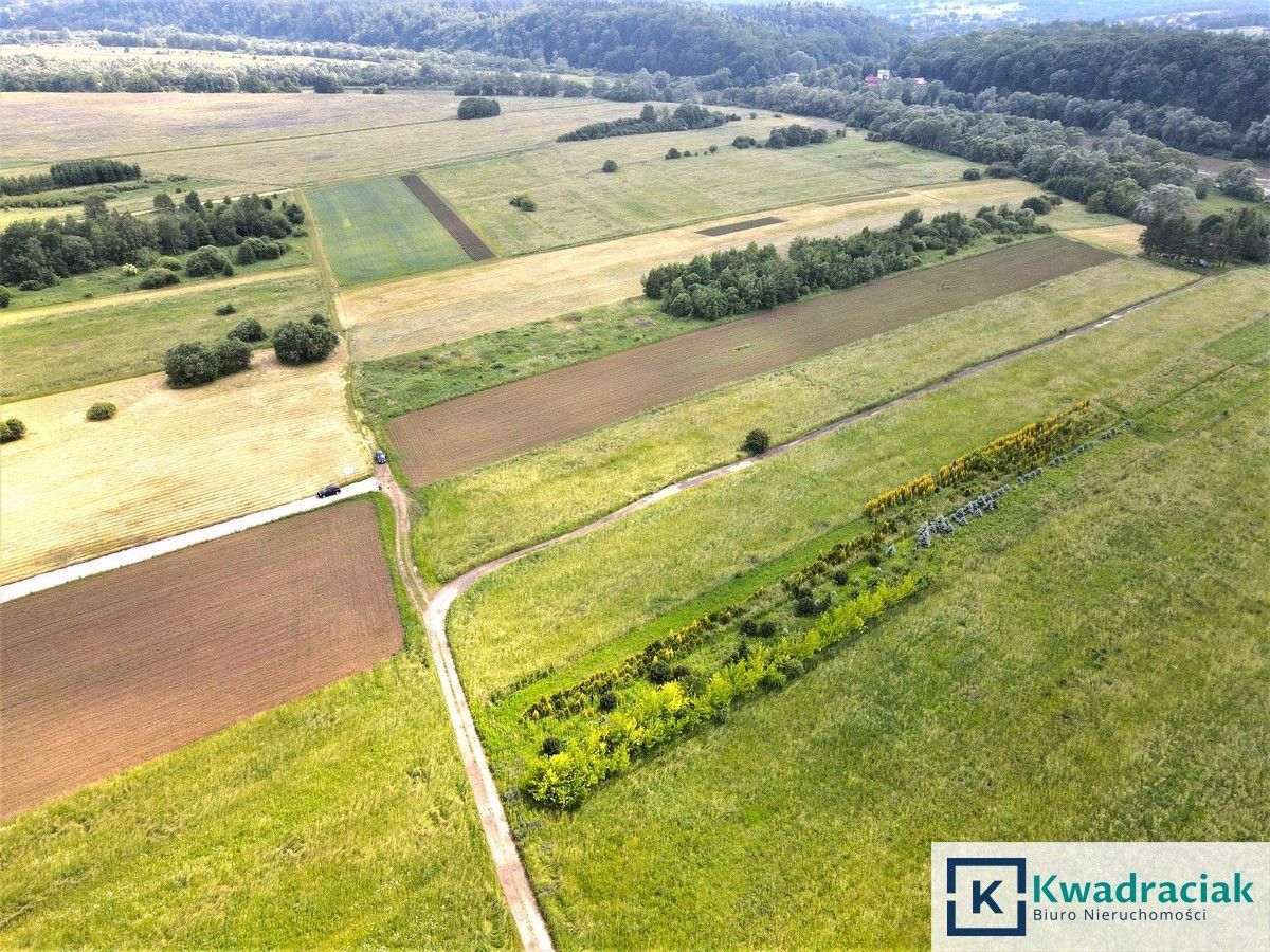 Działka rolna Sanok Olchowce. Zdjęcie 11