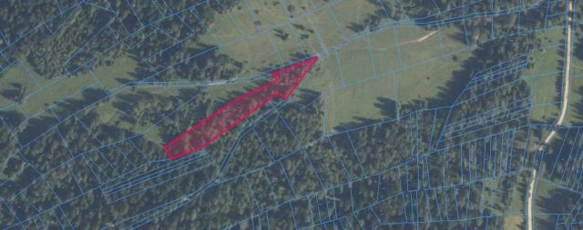 Działka leśna Lipnica Wielka. Zdjęcie 1