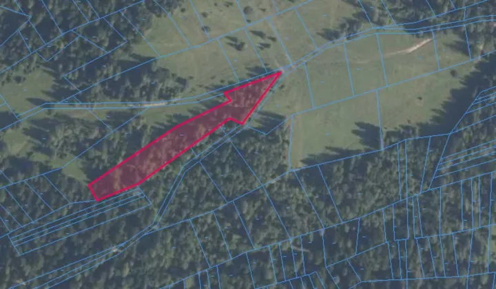 Działka leśna Lipnica Wielka