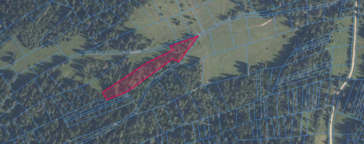 Działka leśna Lipnica Wielka