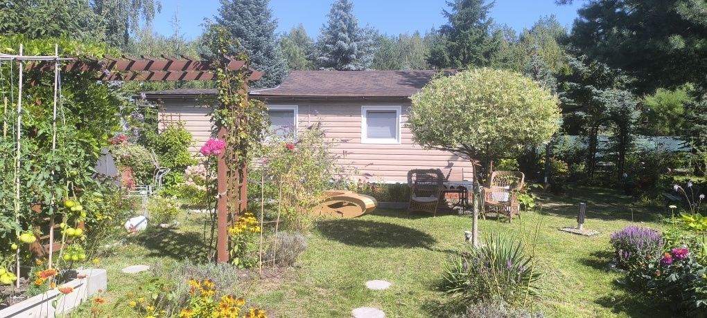 Działka Dąb Polski. Zdjęcie 7