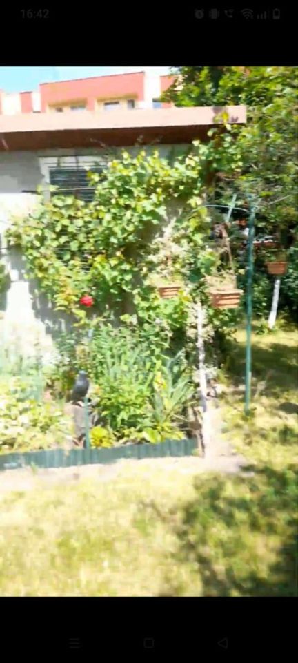 Działka rod Lubsko. Zdjęcie 8