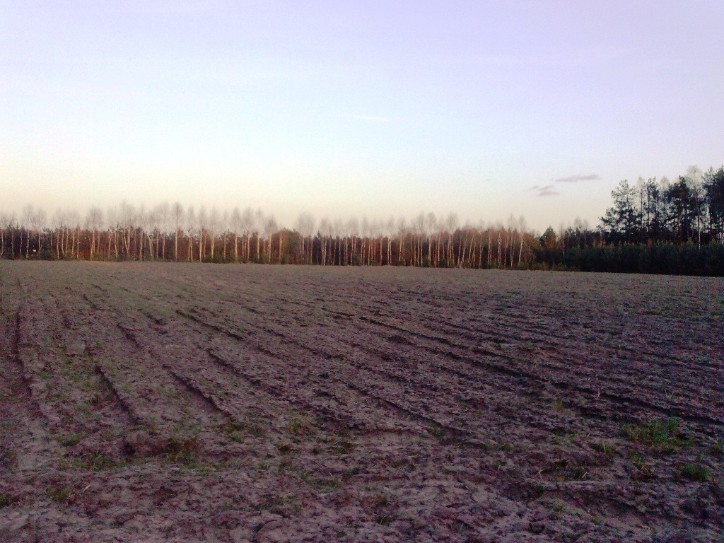 Działka rolno-budowlana Borowiny. Zdjęcie 7