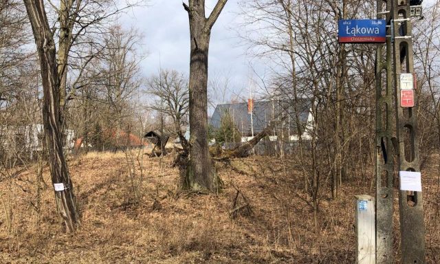 Działka leśna Warszawa Dąbrówka Szlachecka, ul. Łąkowa. Zdjęcie 1