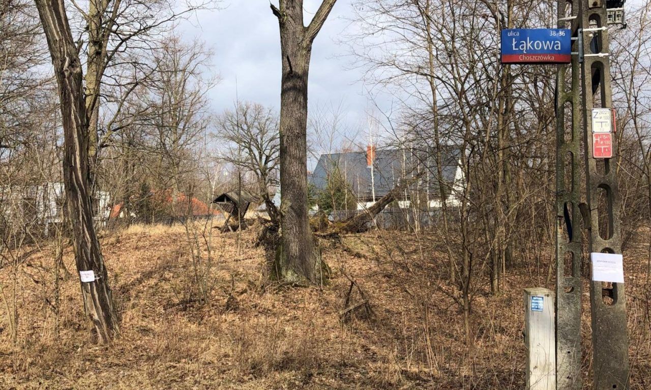 Działka leśna Warszawa Dąbrówka Szlachecka, ul. Łąkowa