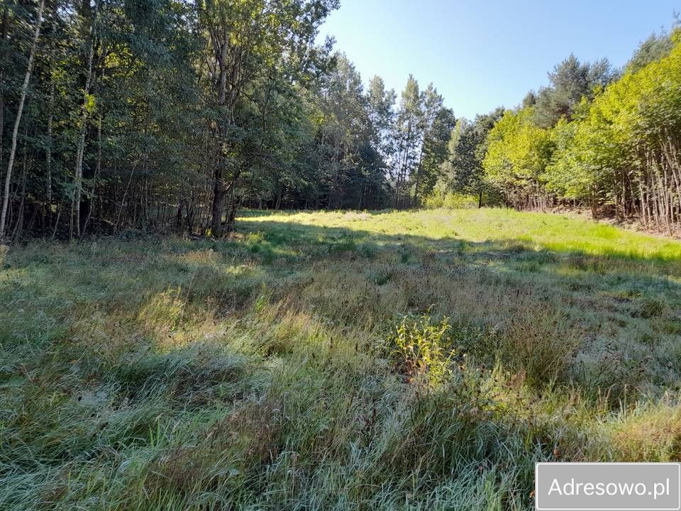 Działka budowlana Graniczna Wieś. Zdjęcie 4