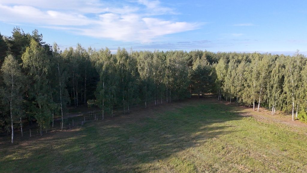 Działka budowlana Korzeniówka. Zdjęcie 5