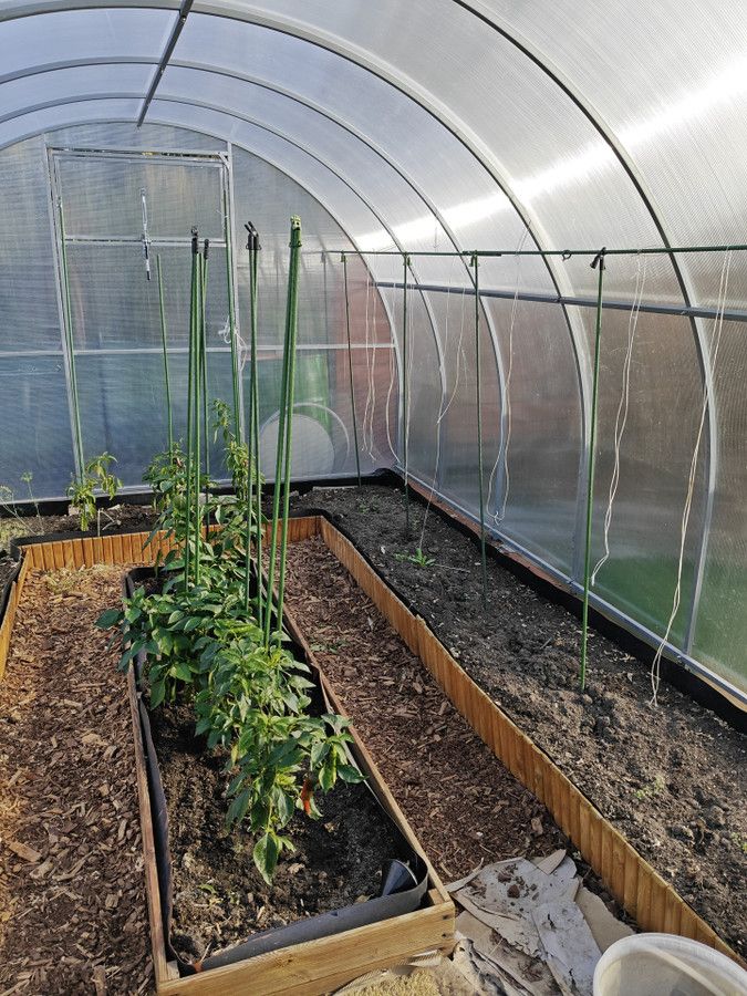 Działka rod Wałbrzych Piaskowa Góra, ul. Wrocławska. Zdjęcie 13