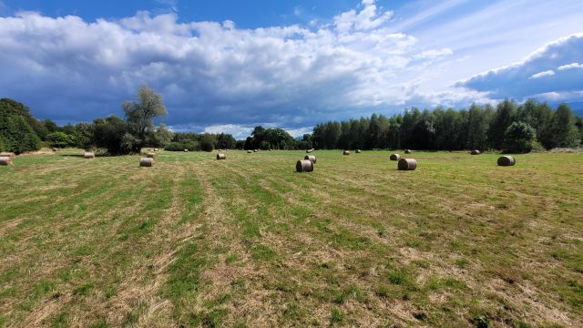 Działka rolno-budowlana Grudza. Zdjęcie 3
