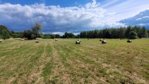 Działka rolno-budowlana Grudza. Zdjęcie 2