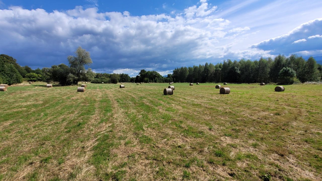 Działka rolno-budowlana Grudza. Zdjęcie 3
