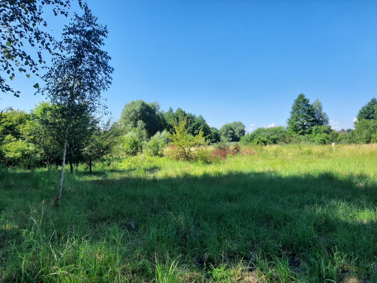 Działka rekreacyjna Strzeszów