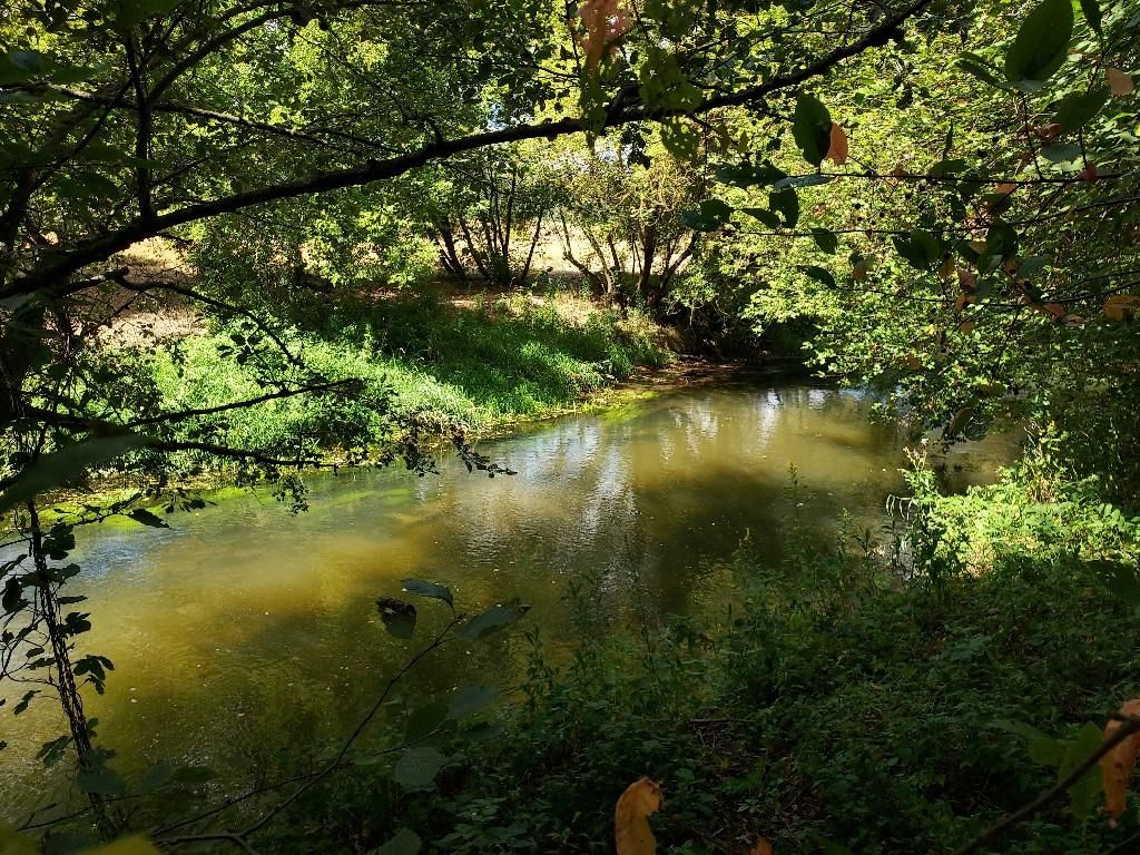 Działka budowlana Skarbka Bidzińszczyzna. Zdjęcie 14