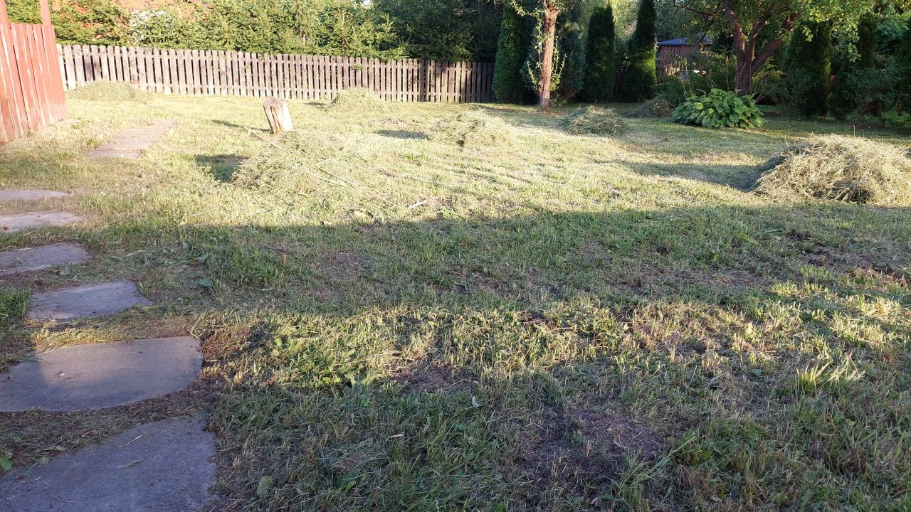 Działka rod Skarżysko-Kamienna Młodzawy, ul. Młodzawy. Zdjęcie 3