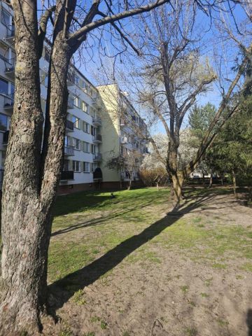 Mieszkanie 2-pokojowe Ostrołęka, ul. Henryka Sienkiewicza. Zdjęcie 2