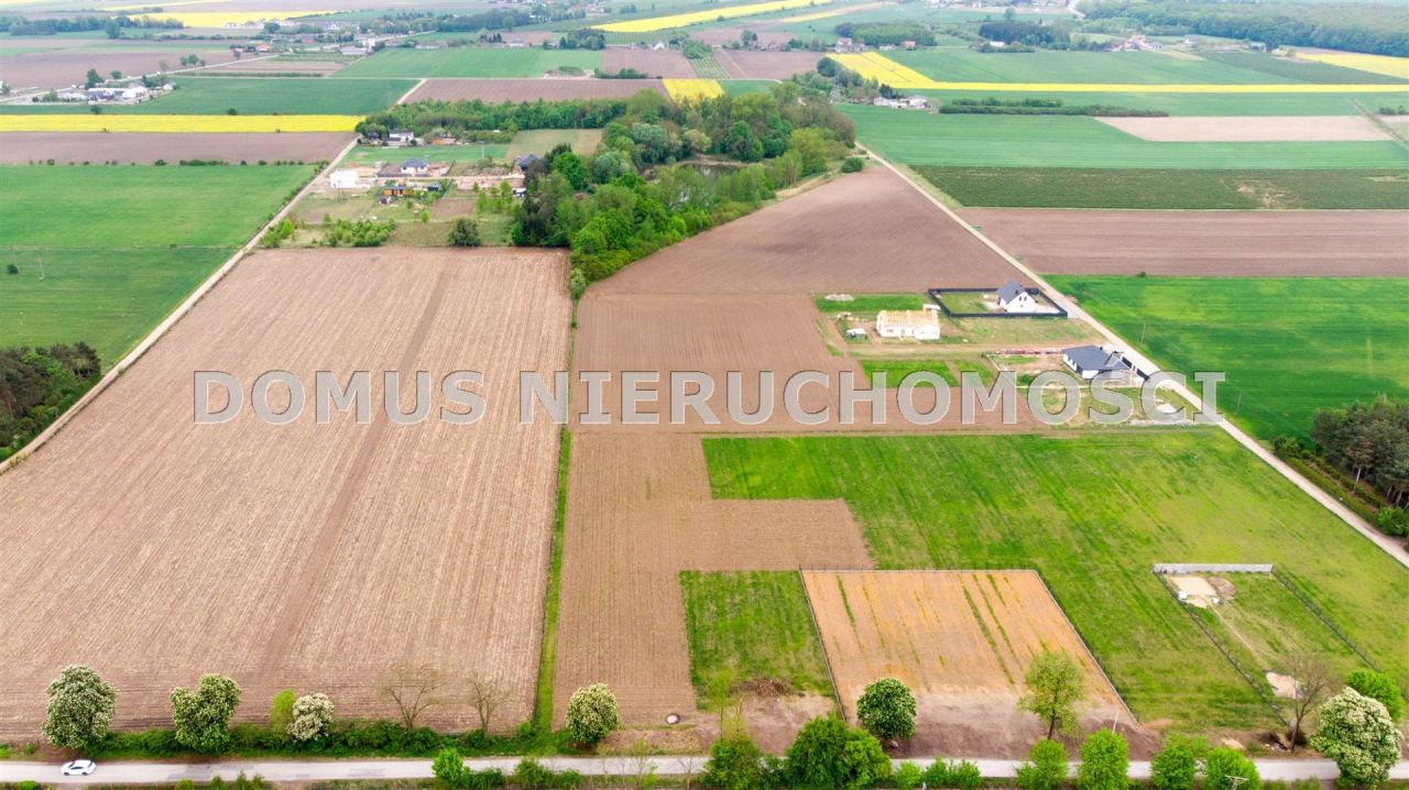 Działka rolna Kutno. Zdjęcie 9