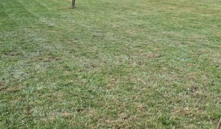 Działka budowlana Rybnik