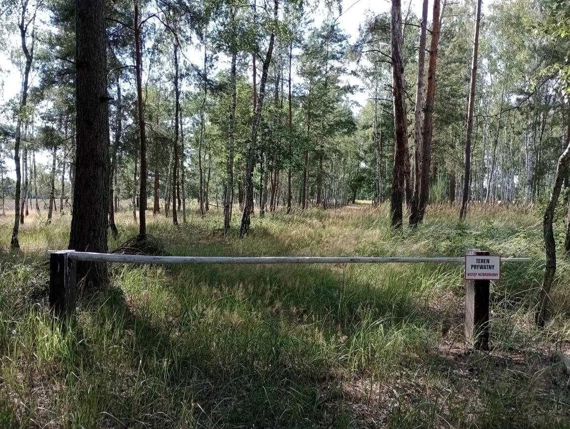 Działka budowlana Nowy Olesiec. Zdjęcie 4