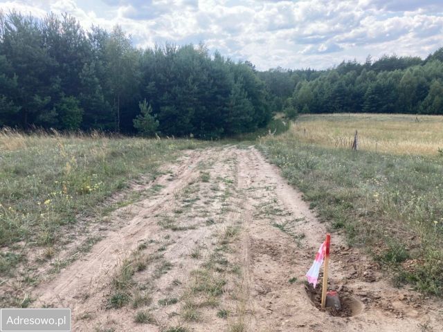 Działka rolna Dobrzyń. Zdjęcie 1