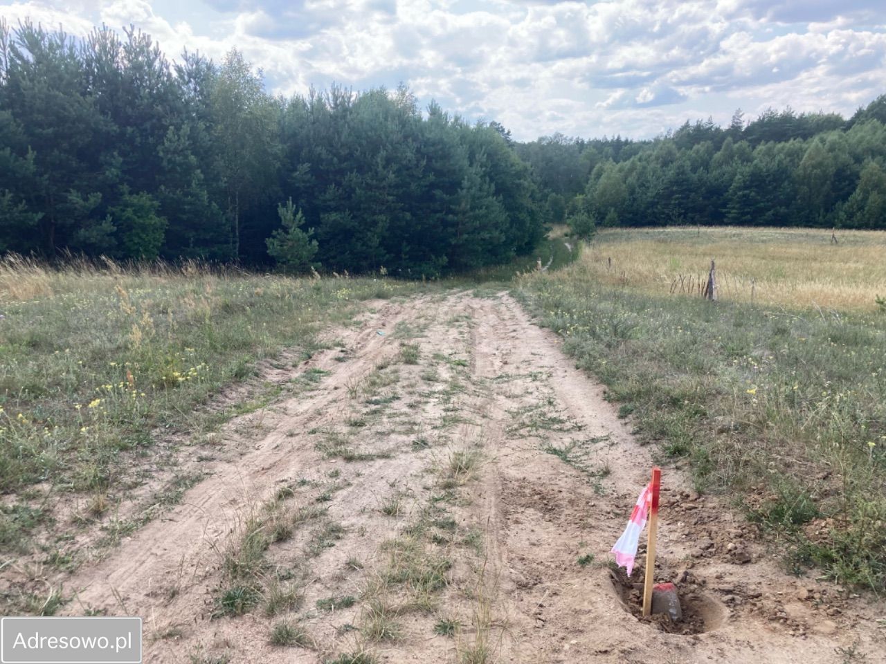 Działka rolna Dobrzyń